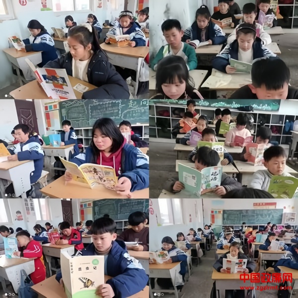 图片7.jpg