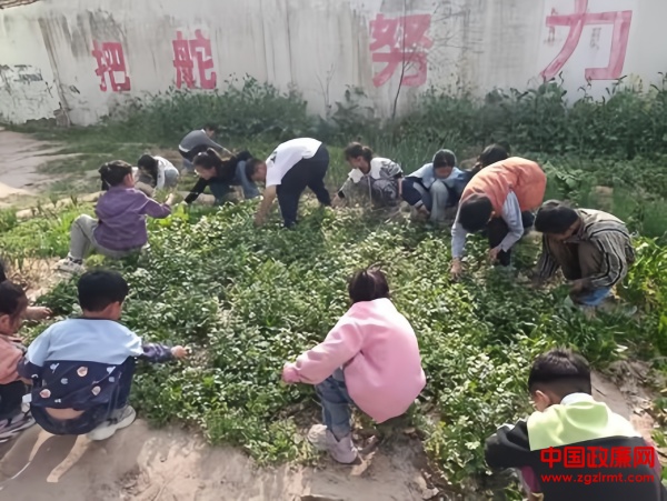 图片1.jpg